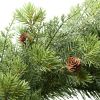 Sonoma Cypress Evergreen Christmas Wreath, Green, 24"