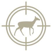 /logo